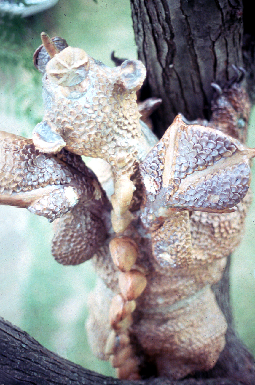 Top view of John Gardner’s Grendel dragon sculpture